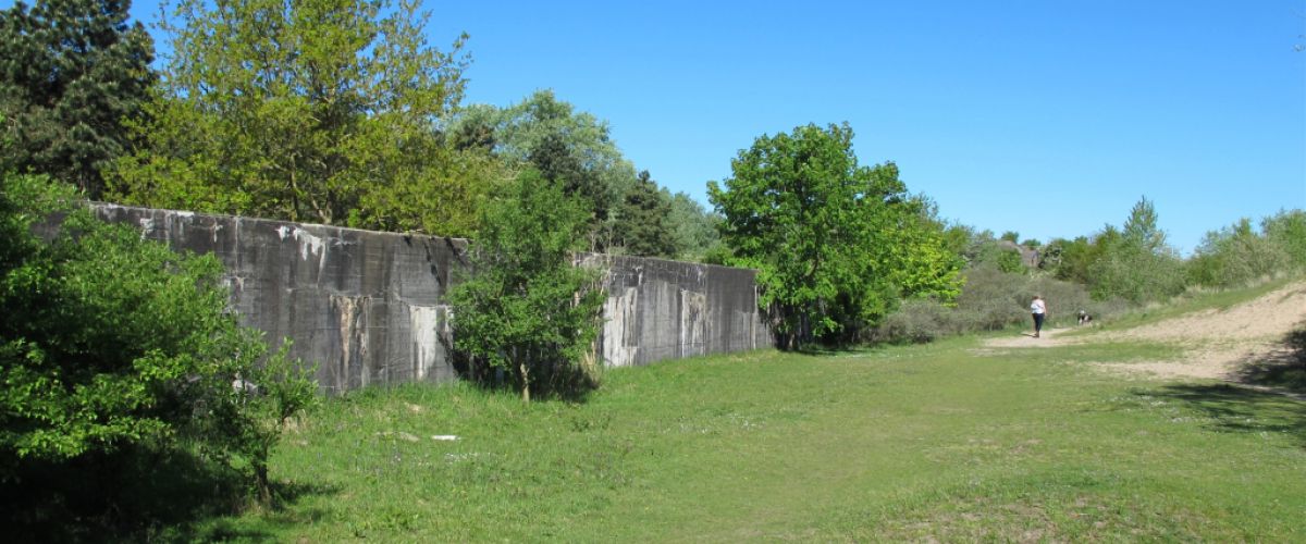 Tankmuur bij de Oude Waalsdorperweg