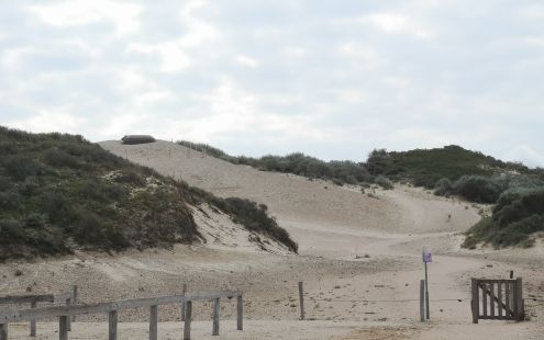 Speuren naar de vijand